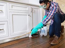 Best Pest Prevention Services  in Mcrae Helena, GA